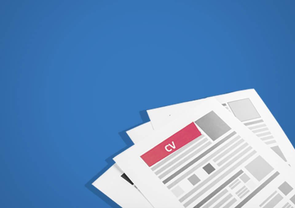 Preview thumbnail for Job Application Form survey template