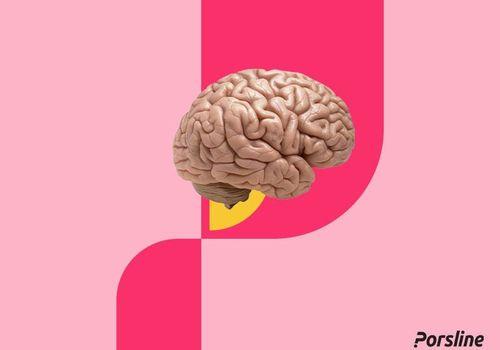 كل ما تحتاج معرفته عن اختبار الذكاء IQ
