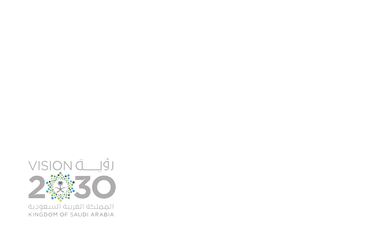 استبيان رؤية 2030 في المملكة العربية السعودية